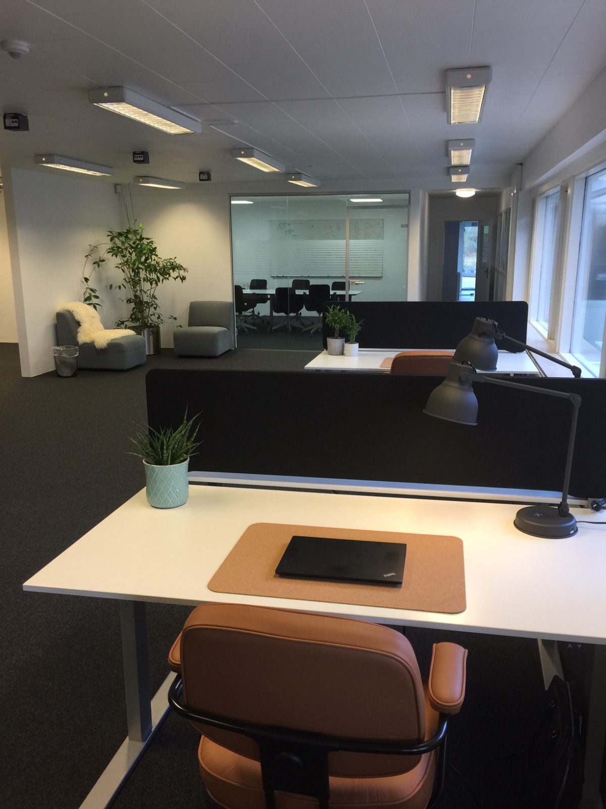 åbent kontormiljø med egen fast plads hos phigus kontorhotel
